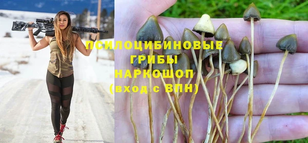 твердый Балахна