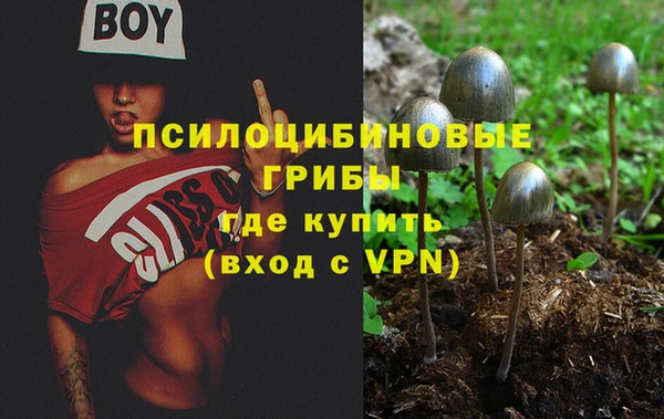 твердый Балахна
