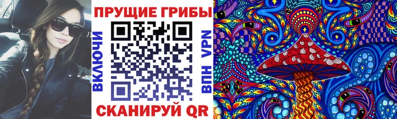 shop как зайти  Горно-Алтайск  Псилоцибиновые грибы ЛСД 
